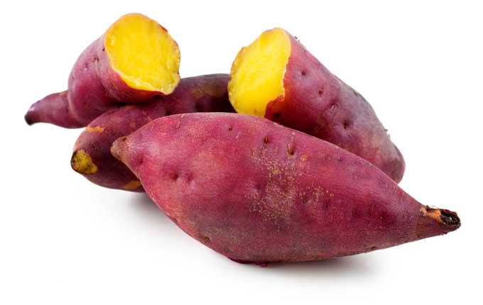 What is the scientific name for potato?